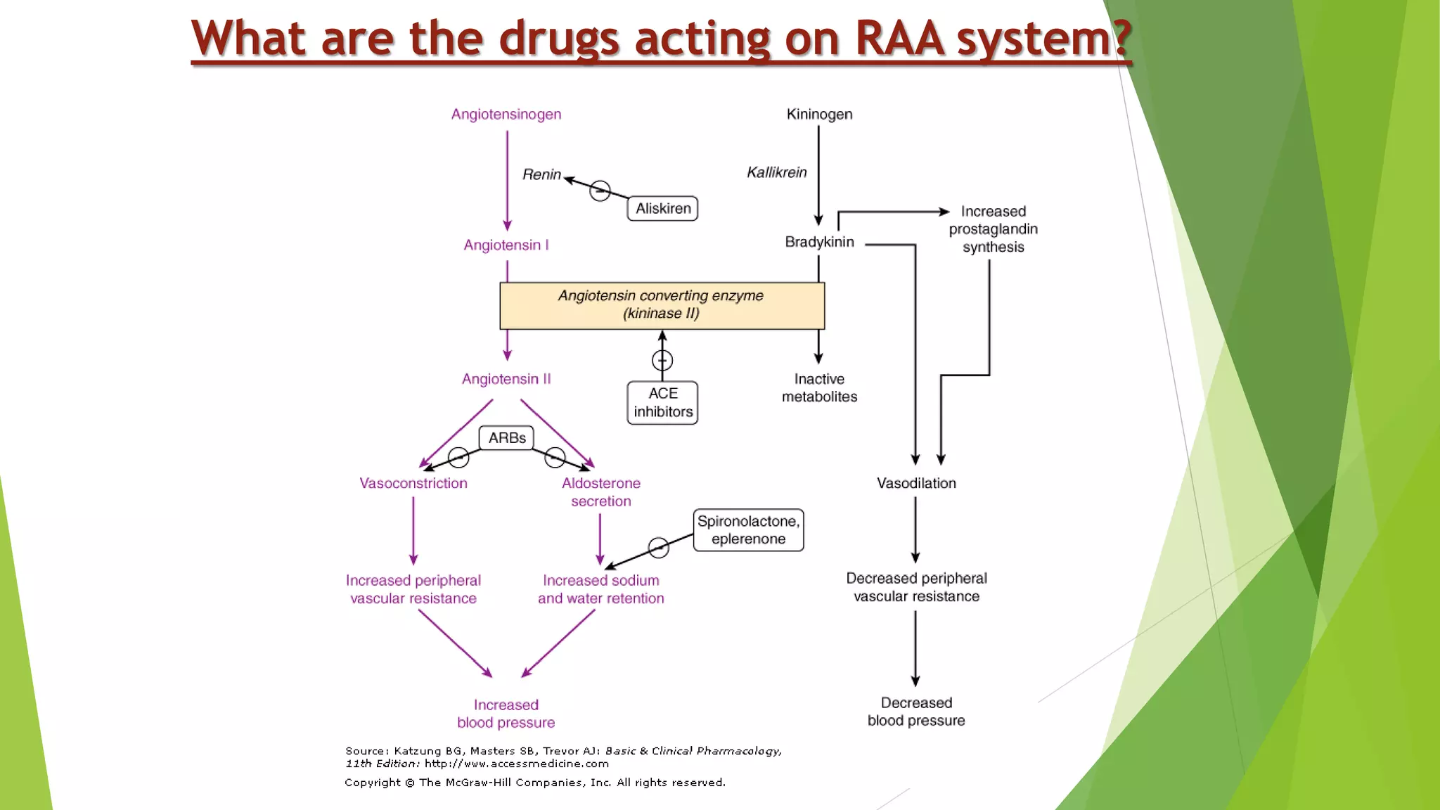 Drugs acting on Renin Angiotensin Aldosterone system | PPTX