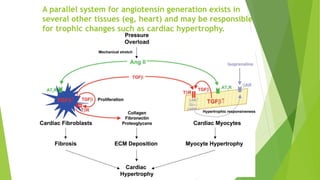 Drugs acting on Renin Angiotensin Aldosterone system | PPTX