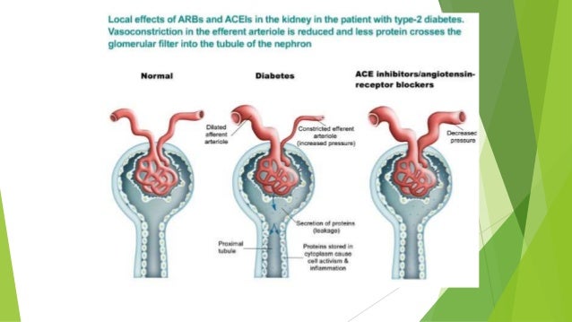 Drugs acting on Renin Angiotensin Aldosterone system