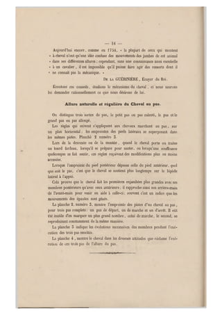 —- If) —
Aujourd'hui encore, comme en 1754, « la plupart de ceux qui montent
« à cheval n'ont qu'une idée confuse des mouvements des jambes de cet animal
•< dans ses différentes allures ; cependant, sans une connaissance aussi esentielle
« à un cavalier , il est impossible qu'il puisse faire agir des ressorts dont il
« ne connaît pas la mécanique. »
DE LA GUÉRIN IÈRE, Écuyer du Roi.
Écoutons ces conseils, étudions le mécanisme du cheval, et nous saurons
lui demander rationnellement ce que nous désirons de lui.
Allure naturelle et régulière du Cheval au pas.
On distingue trois sortes de pas, le petit pas ou pas ralenti, le pas et le
grand pas ou pas allongé.
Les règles qui suivent s'appliquent aux chevaux marchant au pas , sur
un plan horizontal ; les empreintes des pieds latéraux se superposant dans
les mêmes pistes. Planché 2 numéro 5.
Lors de la descente ou de la montée . quand le cheval porte ou traine
un lourd fardeau, lorsqu'il se prépare pour sauter, ou lorsqu'une souffrance
quelconque se fait sentir, ces règles reçoivent des modifications plus ou moins
accusées.
Lorsque l'empreinte du pied postérieur dépasse celle du pied antérieur, quel
que soit le pas, c'est q ue le cheval se soutient plus longtemps sur le bipède
latéral à l'appui.
Cela prouve que le cheval fait les premières enjambées plus grandes avec ses
membres postérieurs qu'avec ceux antérieurs ; il rapproche ainsi son arrière-main
de Vavant-main pour venir en aide à celle-ci ; souvent c'est un indice que les
mouvements des épaules sont gênés.
La planche 2, numéro 5, montre l'empreinte des pistes d' un cheval au pas ,
pour trois pas complets : un pas de départ, un de marche et un d'arrêt. H eû t
été inutile d'en marquer un plus grand nombre, celui demarche, le second, se
reproduisant constamment de la même manière.
La planche 5 indique les évolutions successives des membres pendant l'exé-
cution des trois pas suscités.
La planche 4 , montre le cheval dans les diverses attitudes que réclame l'exé-
cution de ces trois pas de l'allure du pas.
ÄäaD^XSä«!»
 