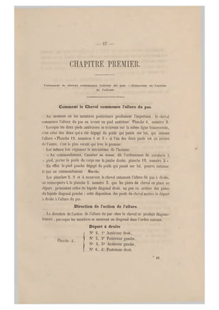 CHAPITRE P REMIER.
Comment le cheval commence l'allure du pas. — Direction de l'action
de l'allure.
Comment le Cheval commence l'allure du pas.
Au moment où les membres postérieurs produisent l'impulsion, le cheval
commence l'allure du pas en levant un pied an térieur. Planche 4-, numéro 2.
Lorsque les deux pieds antérieurs se trouvent sur la même ligne transversale,
c'est celui des deux quia été dégagé du poids qui pesait sur lui, qui entame
l'allure « P lanche 19, numéros i et 5 » si l'un des deux pieds est en arrière
de Vautre, c'est le plus reculé qui lève le p remier.
Les mêmes lois régissent le mécanisme de l'homme.
« Au commandement. Cavalier en avant, dit l'ordonnance de cavalerie à
.<pied, porter le poids du corps sur la jambe droite, planche 19, numéro o »
En effet, le pied gauche dégagé du poids qui pesait sur lui, pourra entamer
le pas au commandement : Marche.
Les planches 2, o et 4 montrent le cheval entamant l'al lure du pas à droite,
on re marquera à la planche 2 , numéro 5, que les pistes du cheval en place au
départ, présentent celles du bipède diago nal droit, un peu en arrière des pistes
du bipède diagonal gauche ; cette disposition des pieds du cheval motive le départ
à droite à l'allure du pas.
Direction de l'action de l'allure.
La direction de l'action de l'allure du pas chez le cheval se produit diagona-
lement, parceque les membres se meuvent en diagonal dans l'ordre suivant.
Départ è droite
!
N° 2, 1° Antérieur droit,
N0 5, 2° Postérieur gauche,
N0 5, 5° Antérieur gauche,
N" 6, 4° Postérieur droit.
* m.
 