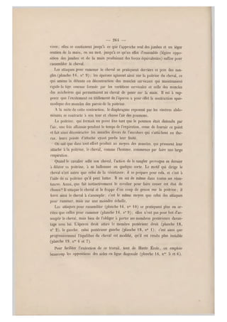 — 2 6 4 —
vives; elles se continuent jusqu'à ce que l'approche seul des jambes et un léger
soutien rlc la main, en un mot, jusqu'à ce q u'un effet d'ensemble (légère oppo-
sition des jambes et de la main produisant des forces équivalentes) suffise pour
rassembler le cheval.
Les attaques pour ramener le cheval se pratiquent derrière et près des san-
gles (planche 1 (i, n" 9 ) ; les éperons agissent ainsi sur la poitrine du cheval, ce
qui amène la détente ou décontraction des muscles cervicaux qui maintenaient
rigide la tige osseuse formée par les vertèbres cervicales et celle des muscles
des mâchoires qui permettaient au cheval de peser su r la main. Il est à sup-
poser q ue I'excitement ou titillement de l'éperon a pour effet la contraction spas-
modique des muscles des parois de la poitrine.
A la suite do cette contraction, le diaphragme repoussé par les viscères abdo-
minaux se contracte à son tour et chasse l'air des poumons.
La poitrine, qui formait u n point fixe tant qu e le poumon était distendu par
l'air, une fois affais sée pendant le temps de l'expiration, cesse de fournir ce point
et fait ainsi décontracter les muscles divers de l'encolure qui s'attachent au tho-
rax, leurs points d'attache ayant perdu leur fixité.
On sait que dans tout effort produit au moyen des muscles, qui prennent leur
attaché à la poitrine, le cheval, comme l'homme, commence par faire une lar ge
respiration.
Quand le cavalier selle son cheval, l'action de le sangler provoque ce dernier
à dilater sa poitrine, à se ballonner en quelque sorte. Le motif qui dirige le
cheval n'est autre que celui de la résistance; il se prépare pour cela, et c'est à
l'aide de sa poitrine qu'il peut lutter. Il en est de même dans toutes ses résis-
tances. Aussi, que fait instinctiveme nt le cavalier pour faire cesser cet état de
choses? Il attaque le cheval et le frappe d'un coup de genou sur la poitrine; il
force ainsi le cheval à s'assouplir ; c'est le même moyen que celui des attaques
pour ramener, mais s ur une moindre échelle.
Les attaques pour rassembler (planche 16, n0 10) se pratiquent plus en ar-
rière que celles pour ramener (planche 16, n° 9) ; elles n'ont pas pour but d'as-
souplir le cheval, mais bien de l'obliger à porter ses membres postérieurs davan-
tage sous lui. L'éperon droit attire le membre postérieur droit (planche 1 8,
n" 2 ); le gauche, celui postérieur gauche (planche 18, n0 1); c'est ainsi que
progressivement l'équilibre du cheval est modifié, qu'il est rendu plus instable
(planche 19, n05 6 et 7).
Pour faciliter l'exécution de ce travail, tout de Haute École, on emploie
beaucoup les oppositions des aides en ligne diagonale (planche 16, n" 5 et 6).
 