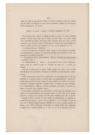 — 2 7 4 —
toutes les deux et que chacune d'elles a son rôle à remplir, pour qu e l'ensem-
ble des actions de l'homme se trouve être en harmonie parfaite avec les mouve-
ments automatiques de l'animal.
DÉPART AU GAL OP A DROITE, LE CHEVAL MARCHANT AU TROT.
Les principes pour obtenir le départ au galop à droite, le cheval marchant
au trot, sont les mêmes que pour le départ de pied ferme ; le cavalier, ap rès
avoir rassemblé le cheval, fait primer l'effet diagonal droit pour faire prendre
la position, puis il donne l'action d'accélération à l'instant où le pied gauche anté
rieur va poser à terre au trot (planche 6, n" 4), au pas (planche 4, n0 7).
Ce principe remonte à Xénopbon.
Il en est de même pour l'homme à pied; quand il doit exécuter un à-droite,
un demi-a-droite ou repartir du pied droit pendant qu'il marquera le pas, l 'or-
donnance de cavalerie à pied dit :
« L'instructeur fait le commandement : Marche, à l'instant où le pied gauche
« va poser à terre. »
Le commandement do : Marche, a été précédé de deux autres commande-
ments, ceux de : Garde à vous et : Cavalier en avant ou : A droite, par
exemple.
Il en est de même pour le cheval, l'effet premier des aides a été un effet
d'ensemble pour le rassembler. L'homme se rassemble au commandement : G arde
à vous.
L'effet diagonal droit disposera l e cheval pour le mouvement qui va lui être
demandé, il se placera comme le fait l'homme au commandement : Cavalier en
avant, pour pouvoir être prêt à partir du pied indiqué et si l'action lui est com-
muniquée au moment opportun, il partira juste; de même que pour l'homme,
si le commandement : Marche, est fait au moment convenable, il pourra en-
tamer la marche avec la jambe voulue.
Si la position préparatoire au mouvement est mal prise par l'homme et le
vhèval, si le commandement qui provoque l'action est fait trop tôt et surtout
Irop tard, le départ sera manqué aussi bien pour l'homme que pour le cheval.
Lorsque le cheval marche au trot, l'action lui étant donnée au moment où
le pied antérieur gauche va poser à terre (planche ti, n" 4) , l'animal se lance en
l'air avec le bipède diagonal gauche (planche 8, n0 10); la jambe gauche de
devant aura relevé davantage l'avant-main, le bipède latéral droit dépassera
le bipède latéral gauche (planche 8 , n" 1%), et lors de sa descente sur le sol.
 