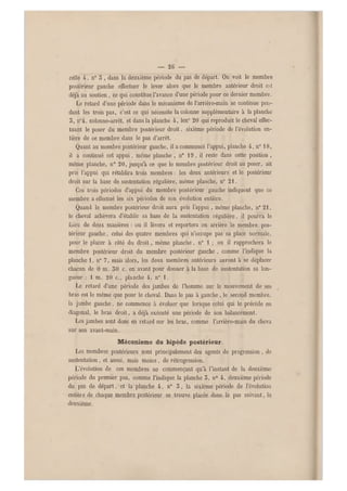 — 26 —
celle 4, n0 5 , dans la deuxième période du pas de départ. On voit le membre
postérieur gauche effectuer le lever alors que le membre antérieur droit est
déjà au soutien , ce qui constitue l'avance d'une période pour ce dernier membre.
Le retard d'une période dans le mécanisme de l'arrière-main se continue pen-
dant les trois pas, c'est ce qui nécessite la colonne supplémentaire à la planche
5, n04, colonne-arrêt, et dans la planche 4 , len" 20 qui reproduit le cheval effec-
tuant le poser du membre postérieur droit, sixième période de l'évolution en-
tière de ce membre dans le pas d'arrêt.
Quant au membre postérieur gauche, il a commencé l'appui, planche 4 , n" i8,
il a continué cet a ppui, même planche , n0 19, il reste dans cette position ,
même planche, n0 20, jusqu'à ce que le membre postérieur droit au poser, ait
pris l'appui qui rétablira trois membres : les deux antérieurs et le postérieur
droit sur la base de sustentation régulière, môme planche, n0 21.
Ces trois périodes d'appui du membre postérieur gauche indiquent que ce
membre a effectué les six périodes de son évolution entière.
Quand le membre postérieur droit aura pris l'appui , même planche, n" 21,
le cheval achèvera d'établir sa base de la sustentation régulière, il pourra le
faire de deux manières : ou il lèvera et reportera en arrière le membre pos-
térieur gauche, celui des qu atre membres qui n'occupe pas sa place normale,
pour le placer à côté du droit, même planche, n0 1 ; ou il rapprochera le
membre postérieur droit du membre postérieur gauche , comme l'indique la
planche 1, n0 7, mais alors, les deux membres antérieurs auront à se déplacer
chacun de 0 m. 50 c. en avant pour donner à la base de sustentation sa lon-
gueur : 1 m. 20 c., planche 4, n0 1.
Le retard d'une période des jambes de l'homme sur le mouvement de ses
bras est le même que pour le cheval. Dans le pas à gauche, le second membre,
la jambe gauche, ne commence à évoluer que lorsque celui qui le précède en
diagonal, le bras droit, a déjà exécuté une période de son balancement.
Les jambes sont donc en retard sur les bras, comme l'arrière-main du cheva
sur son avant-main.
Mécanisme du bipède postérieur.
Les membres postérieurs sont principalement des agents de progression , de
sustentation , et aussi, mais moins , de rétrogression.
L'évolution de ces membres ne commençant qu'à l'instant de la deuxième
période d u premier pas, comme l'indique la planche 5, n0 4, deuxième période
du pas de départ, et la planche 4, n" 5, la sixième période de l'évolution
entière de chaque membre postérieur se trouve placée dans le pas suivant, le
deuxième.
 