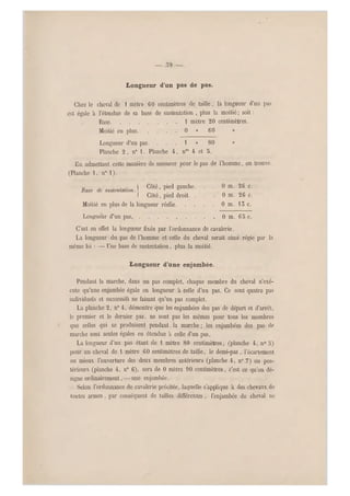 Longueur d'un pas de pas.
Chez le cheval de i mètre 60 centimètres de taille, la longueur d'un pas
est égale à l'étendue de sa base de sustentation , plus la moitié ; soit :
Base 1 mètre 20 centimètres.
Moitié en plus 0 » 60 »
Longueur d'un pas. ... 1 » 80 »
Planche 2, n0 1. Planche 4, n" 4 et 8.
En admettant cette manière de mesurer pour le pas de l'homme, on trouve.
(Planche 1, n0 1).
_ , , , ,• i Côté, pied gauche. . . 0 m. 26 c.
Rase de smlentahon. 1 0
I Côté, pied droit. . . . 0 m. 26 c.
Moitié en plus de la longueur réelle 0 m. 15 c.
Longueur d'un pas . . . 0 m. 65 c.
C'est en effet la longueur fixée par l'ordonnance de cavalerie.
La longueur du pas de l'homme et celle du cheval serait ainsi régie par la
même loi : — Une base de sustentation , plus la moitié.
Longueur d'une enjambée.
Pendant la marche, dans un pas complet, chaque membre du cheval n'exé-
cute qu'une enjambée égale en longueur à celle d'un pas. Ce sont q uatre pas
individuels et successifs ne faisant qu'un pas complet.
La planche 2, n0 4, démontre que les enjambées des pas de départ et d'arrêt,
le premier et le dernier pas, ne sont pas les mêmes pour tous les membres
que celles qui se produisent pendant la marche ; les enjambées des pas de
marche sont seules égales en étendue h celle d'un pas.
La longueur d'un pas étant de 1 mètre 80 centimètres, (planche 4, n0 5)
pour un cheval de 1 mètre 00 centimètres de taille, le demi-pas , l'écartement
ou mieux l'ouverture des deux membres antérieurs (planche 4, n" 7) ou pos-
térieurs (planche 4, n0 6), sera de 0 mètre 90 centimètres, c'est ce qu'on dé-
signe ordinairement, —une enjambée.
Selon l'ordonnance de cavalerie précitée, laquelle s'applique à des chevaux de
toutes armes , par conséquent de tailles différentes , l'enjambée du cheval no
 