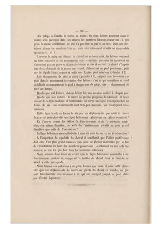 — 58 —
Au galop, à l'amble, le cheval se berce, les deux hélices tournent dans le
même sens parceque dans ces allures les membres latéraux conservent, h peu
près, le môme écartement, ce qui n'a pas lieu au pas et au trot. Dans ces de r-
nières allures les membres latéraux sont alternativement écartés ou rapprochés
(planche 4-, n" 6).
Lorsque le galop est désuni, le cheval ne se berce plus, les hélices tourne nt
en sens contraire et les mouvements sont irréguliers parceque les membres ne
s'associent pas par paire en diagonale comme au pas et au trot. Le cheval s'appuie
lors de la descente de la masse sur le sol, d'abord sur un pied postérieur, puis
sur le bipède latéral opposé et enfin su r l'autre pied antér ieur (planche 12).
Les changements d e pied au galop (planche H), exigent une inversion ra-
pide dans le mouvement de rotation des hélices ; c'est ce qui complique et rend
si difficile les changements de pied a chaque pas de galop, dits — changement de
pied au temps.
Quelle que soit l'allure, chaque hélice fait u ne rotation entière a chaque pas.
Quelle que soit l'allure, le centre de gravité progresse directement, il trace
autour de la ligne médiane et horizontale du corps une ligne très-rapprochée en
forme de vis, ses déplacements sont très-peu marqués, par conséquent très-
minimes.
Cette ligne tracée en forme de vis par les déplacements que subit le centre
de gravité présente-t-elle une ligne hélicienne cylindrique ou cylindro-conique ?
En d'autres termes les hélices de l'arrière-raain et de l'avant-main sont-
elles. du même diamètre , ou celle de l'arrière-main a-t-elle un plus grand
diamètre que celle de l'avant-main ?
La ligne hélicienne ressemble-t-elle à une vis sans fin ou en un tire-bouchon ?
A l'inspection du squelette du cheval il semblerait que l'hélice postérieure •
doit être d'un plus grand diamètre que celui de l'hélice antér ieure par le fait
de l'écartement du haut des membres postérieurs ; écartement dû aux cols des
fémurs, ce qui n'a pas lieu dans les membres antérieurs.
Nous sommes donc tenté de croire que la ligne hélicienne ressemble à un
tire-bouchon, surtout en comparant la facilité du cheval dans sa marche en
avant à celle rétrograde.
Nous livrons ces réflexions à d e plus habiles qu e nous; il nous suffit d'éta-
blir que les déplacements du centre de gravité du cheval en marche, au pas
sont très-minimes contrairement à ce qui est enseigné jusqu'à ce jour dans
nos Écoles Équestres.
 