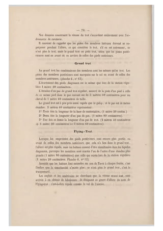 — 78 -
Nos données concernant la vitesse du trot s'accordent entièrement avec l'or-
donnance de cavalerie.
Il convient de rappeler que les pistes des membres latéraux doivent se su-
perposer pendant l'allure, ce qui constitue le trot, s'il en est autrement, ce
n'est plus le trot, mais le grand trot ou petit trot, selon que les pistes posté-
rieures sont en avant où en arrière de celles des pieds antérieurs.
Grand trot.
Au grand trot les combinaisons des membres sont les mêmes qu'au trot. Les
pistes des membres postérieurs sont marquées sur le sol en avant de celles des
membres antérieurs, (planche G, n015).
L'écartement des pieds diagonaux est le môme que lors de la station régu-
lière 1 mètre 20 centimètres.
L'étendue d'un pas de grand trot régulier, mesuré de la piste d'un pied à celle
de ce même pied dans le pas suivant est de o mètres (iO centimètres pour un
cheval de 1 mètre 60 centimètres de taille.
Le grand trot est à peu près aussi rapide que le galop , et le pas est de même
étendue. 5 mètres 60 centimètres représentent :
1° Trois fois la longueur de la base de sustentation, (1 mètre 20 centim.)
2° Deux fois la longueur d'un pas d e pas, (1 mètre 80 centimètres).
5° Une fois et demie la longueur d'un pas de trot. (2 mètres 40 centimètres
4- 1 mètre 20 centimètres — 5 mètres 60 centimètres).
Flying- Trot.
Lorsque les empreintes des pieds postérieurs sont encore plus portés en
avant de celles des membres antérieurs que cela n'a lieu dans le grand trot,
l'allure est plus rapide, mais les battues cessent d'être simultanées dans les bipèdes
diagonaux, pareeque les membres sont écartés l'un de l'autre d'une étendue plus
grande (1 mètre 80 centimètres) que celle qui existe lors de la station régulière
(1 mètre 20 centimètres. Planche G, n012).
Aussitôt que les battues font entendre un son de Ta-ra à chaque foulée, c'est
l'indice que la simultanéité n'existe plus ; ce n'est plus le grand trot, c'est le
tracquenard.
Les anglais et les américains ne cherchant que la vitesse uvani tout, sont
arrivés à en obtenir de fabuleuses ; ils désignent ce genre d'allure du nom de
Flying-trot : c'est-à-dire rapide comme le vol d e l'oiseau.
 