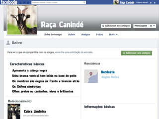 Zootecnia Geral - Raça Canindé - FACEBODE