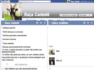 Zootecnia Geral - Raça Canindé - FACEBODE