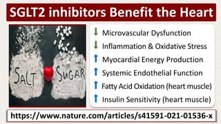 https://www.nature.com/articles/s41591-021-01536-x
SGLT2 inhibitors Benefit the Heart
⬇ Microvascular Dysfunction
⬇ Inflammation & Oxidative Stress
⬆ Myocardial Energy Production
⬆ Systemic Endothelial Function
⬆ Fatty Acid Oxidation (heart muscle)
⬆ Insulin Sensitivity (heart muscle)
 