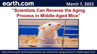 March 7, 2022
“Scientists Can Reverse the Aging
Process in Middle-Aged Mice”
https://www.earth.com/news/scientists-can-reverse-the-aging-process-in-middle-aged-mice/
 