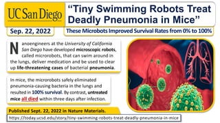 “Tiny Swimming Robots Treat
Deadly Pneumonia in Mice”
Sep. 22, 2022
anoengineers at the University of California
San Diego have developed microscopic robots,
called microrobots, that can swim around in
the lungs, deliver medication and be used to clear
up life-threatening cases of bacterial pneumonia.
In mice, the microrobots safely eliminated
pneumonia-causing bacteria in the lungs and
resulted in 100% survival. By contrast, untreated
mice all died within three days after infection.
Published Sept. 22, 2022 in Nature Materials.
https://today.ucsd.edu/story/tiny-swimming-robots-treat-deadly-pneumonia-in-mice
 