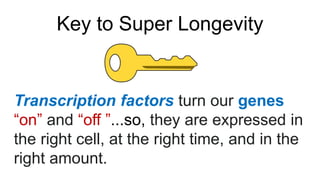 Transcription factors turn our genes
“on” and “off ”...so, they are expressed in
the right cell, at the right time, and in...
