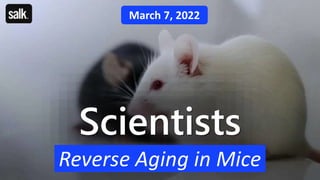 March 7, 2022
Scientists
Reverse Aging in Mice
 