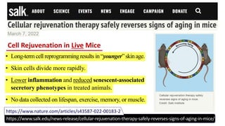 • Long-termcell reprogrammingresults in “younger”skin age.
• Skin cells divide more rapidly.
• Lower inflammation and reduced senescent-associated
secretory phenotypes in treated animals.
• No data collected on lifespan, exercise, memory, or muscle.
Cell Rejuvenation in Live Mice
https://www.nature.com/articles/s43587-022-00183-2
https://www.salk.edu/news-release/cellular-rejuvenation-therapy-safely-reverses-signs-of-aging-in-mice/
 