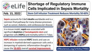 Shortage of Regulatory Immune
Cells Implicated in Sepsis Mortality
Feb. 15, 2022
In a mouse model, sepsis was associated with
significant depletion of hematopoietic stem and
progenitor cells (HSPCs) and mortality within 5–7 days.
HSPC infusion restored HSPC levels and saw an
increase in myeloid-derived suppressor cells and a
dampening of systemic inflammation thought to
cause the 50-60% overall survival improvement.
Sepsis accounts for 1 in 5 deaths worldwide and is a
common final pathway for many disease processes
such as cancer, diabetes, and cardiovascular disease.
elifesciences.org/articles/74561
 