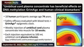 “Umbilical cord plasma concentrate has beneficial effects on
DNA methylation GrimAge and human clinical biomarkers”
Human Study
• Each injection equivalent to 100 mL
umbilical cord plasma infusion.
September 02, 2022 | https://doi.org/10.1111/acel.13696
• 18 human participants average age 74 years.
• Safety-efficacy evaluated with blood tests +
GrimAge® epigenetic clock.
• Weekly injection of umbilical cord plasma
concentrate into muscle for 10 weeks.
(Fourumbilicalcordsusedtoproduceeachweeklyinjection.)
 