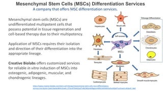 Yamanaka Factors
Potential Systemic
Regeneration Using
Induced Pluripotent
Stem Cell Therapy
Cellular
(Induced Pluripotent...