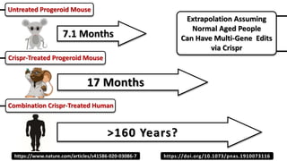 Crispr-Treated Progeroid Mouse
17 Months
>160 Years?
7.1 Months
Combination Crispr-Treated Human
Untreated Progeroid Mouse
https://www.nature.com/articles/s41586-020-03086-7 https://doi.org/10.1073/pnas.1910073116
Extrapolation Assuming
Normal Aged People
Can Have Multi-Gene Edits
via Crispr
 