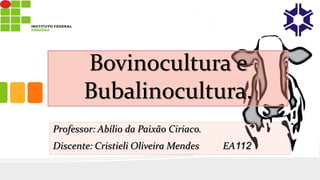 Bovinocultura e
Bubalinocultura.
Professor: Abílio da Paixão Ciriaco.
Discente: Cristieli Oliveira Mendes EA112
 