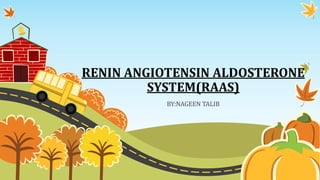 RENIN ANGIOTENSIN ALDOSTERONE
SYSTEM(RAAS)
BY:NAGEEN TALIB
 