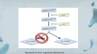 Comprehensive Overview of the Renin-Angiotensin-Aldosterone System ...