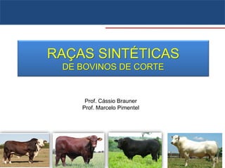 RAÇAS SINTÉTICAS
DE BOVINOS DE CORTE
Prof. Cássio Brauner
Prof. Marcelo Pimentel
 