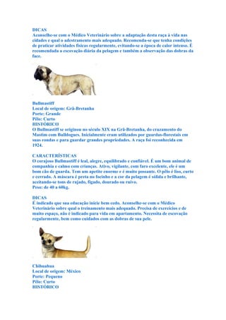 DICAS
Aconselhe-se com o Médico Veterinário sobre a adaptação desta raça à vida nas
cidades e qual o adestramento mais adequado. Recomenda-se que tenha condições
de praticar atividades físicas regularmente, evitando-se a época de calor intenso. É
recomendada a escovação diária da pelagem e também a observação das dobras da
face.




Bullmastiff
Local de origem: Grã-Bretanha
Porte: Grande
Pêlo: Curto
HISTÓRICO
O Bullmastiff se originou no século XIX na Grã-Bretanha, do cruzamento do
Mastim com Bulldogues. Inicialmente eram utilizados por guardas-florestais em
suas rondas e para guardar grandes propriedades. A raça foi reconhecida em
1924.

CARACTERÍSTICAS
O corajoso Bullmastiff é leal, alegre, equilibrado e confiável. É um bom animal de
companhia e calmo com crianças. Ativo, vigilante, com faro excelente, ele é um
bom cão de guarda. Tem um apetite enorme e é muito possante. O pêlo é liso, curto
e cerrado. A máscara é preta no focinho e a cor da pelagem é sólida e brilhante,
aceitando-se tons de rajado, fígado, dourado ou ruivo.
Peso: de 40 a 60kg.

DICAS
É indicado que sua educação inicie bem cedo. Aconselhe-se com o Médico
Veterinário sobre qual o treinamento mais adequado. Precisa de exercícios e de
muito espaço, não é indicado para vida em apartamento. Necessita de escovação
regularmente, bem como cuidados com as dobras de sua pele.




Chihuahua
Local de origem: México
Porte: Pequeno
Pêlo: Curto
HISTÓRICO
 