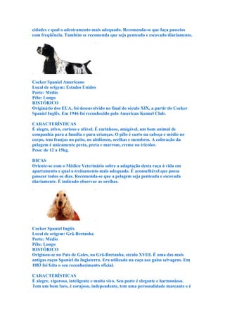 cidades e qual o adestramento mais adequado. Recomenda-se que faça passeios
com freqüência. Também se recomenda que seja penteado e escovado diariamente.




Cocker Spaniel Americano
Local de origem: Estados Unidos
Porte: Médio
Pêlo: Longo
HISTÓRICO
Originário dos EUA, foi desenvolvido no final do século XIX, a partir do Cocker
Spaniel Inglês. Em 1946 foi reconhecido pelo American Kennel Club.

CARACTERÍSTICAS
É alegre, ativo, curioso e afável. É carinhoso, amigável, um bom animal de
companhia para a família e para crianças. O pêlo é curto na cabeça e médio no
corpo, tem franjas no peito, no abdômen, orelhas e membros. A coloração da
pelagem é unicamente preta, preta e marrom, creme ou tricolor.
Peso: de 12 a 15kg.

DICAS
Oriente-se com o Médico Veterinário sobre a adaptação desta raça à vida em
apartamento e qual o treinamento mais adequado. É aconselhável que possa
passear todos os dias. Recomenda-se que a pelagem seja penteada e escovada
diariamente. É indicado observar as orelhas.




Cocker Spaniel Inglês
Local de origem: Grã-Bretanha
Porte: Médio
Pêlo: Longo
HISTÓRICO
Originou-se no País de Gales, na Grã-Bretanha, século XVIII. É uma das mais
antigas raças Spaniel da Inglaterra. Era utilizado na caça aos galos selvagens. Em
1883 foi feito o seu reconhecimento oficial.

CARACTERÍSTICAS
É alegre, vigoroso, inteligente e muito vivo. Seu porte é elegante e harmonioso.
Tem um bom faro, é corajoso, independente, tem uma personalidade marcante e é
 