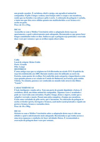 um grande caçador. É carinhoso, dócil e meigo, um agradável animal de
companhia. O pêlo é longo e sedoso, tem franjas sobre o corpo e nos membros,
sendo que no focinho e na cabeça o pêlo é curto. A coloração da pelagem é variada,
e tanto nos que têm cores sólidas quanto nos multicoloridos a cor branca só é
aceita no peito.
Peso: de 12 a 15kg.

DICAS
Aconselhe-se com o Médico Veterinário sobre a adaptação desta raça em
apartamento e qual o adestramento mais adequado. Recomenda-se que possa fazer
longas caminhadas todos os dias. Indica-se que a pelagem seja penteada e escovada
duas vezes por semana e que as orelhas sejam observadas.




Collie
Local de origem: Reino Unido
Porte: Grande
Pêlo: Longo
HISTÓRICO
É uma antiga raça que se originou na Grã-Bretanha no século XVI. O padrão da
raça foi estabelecido em 1885. Durante muitos anos foi utilizado ao norte da
Escócia, como pastor de ovelhas. Foi conferida mais categoria e importância a esta
raça quando passou a ser criada no Castelo de Balmoral, na Escócia, pela rainha
Vitória. No entanto, passou a ser conhecida no mundo todo através dos filmes
"Lassie".

CARACTERÍSTICAS
É leal, inteligente e muito ativo. Tem um porte de grande dignidade e beleza. É
carinhoso, dócil, um ótimo animal de companhia. Algumas vezes é acanhado e
pode ser reservado com estranhos. O pêlo é longo, denso e áspero, sendo que o
subpêlo é cerrado e macio. Possui uma juba completa e franjas nos membros.
Existe uma variedade de pêlo curto, que é incomum. Na coloração da pelagem se
aceita o tricolor (preto, ferrugem e branco), azul-melro (azul-prateado e rajado em
preto) e branco, branco e castanho-claro.
Peso: de 18 a 30kg.

DICAS
Oriente-se com o Médico Veterinário sobre a adaptação desta raça à vida nas
cidades e qual o adestramento mais adequado. Recomenda-se que tenha acesso a
uma área espaçosa e condições de fazer atividades físicas. É recomendada a
escovação da pelagem duas vezes por semana.
 