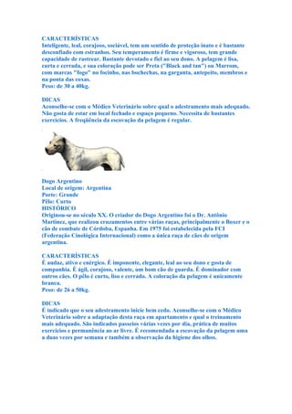 CARACTERÍSTICAS
Inteligente, leal, corajoso, sociável, tem um sentido de proteção inato e é bastante
desconfiado com estranhos. Seu temperamento é firme e vigoroso, tem grande
capacidade de rastrear. Bastante devotado e fiel ao seu dono. A pelagem é lisa,
curta e cerrada, e sua coloração pode ser Preta ("Black and tan") ou Marrom,
com marcas "fogo" no focinho, nas bochechas, na garganta, antepeito, membros e
na ponta das coxas.
Peso: de 30 a 40kg.

DICAS
Aconselhe-se com o Médico Veterinário sobre qual o adestramento mais adequado.
Não gosta de estar em local fechado e espaço pequeno. Necessita de bastantes
exercícios. A freqüência da escovação da pelagem é regular.




Dogo Argentino
Local de origem: Argentina
Porte: Grande
Pêlo: Curto
HISTÓRICO
Originou-se no século XX. O criador do Dogo Argentino foi o Dr. Antônio
Martinez, que realizou cruzamentos entre várias raças, principalmente o Boxer e o
cão de combate de Córdoba, Espanha. Em 1975 foi estabelecida pela FCI
(Federação Cinológica Internacional) como a única raça de cães de origem
argentina.

CARACTERÍSTICAS
É audaz, ativo e enérgico. É imponente, elegante, leal ao seu dono e gosta de
companhia. É ágil, corajoso, valente, um bom cão de guarda. É dominador com
outros cães. O pêlo é curto, liso e cerrado. A coloração da pelagem é unicamente
branca.
Peso: de 26 a 50kg.

DICAS
É indicado que o seu adestramento inicie bem cedo. Aconselhe-se com o Médico
Veterinário sobre a adaptação desta raça em apartamento e qual o treinamento
mais adequado. São indicados passeios várias vezes por dia, prática de muitos
exercícios e permanência ao ar livre. É recomendada a escovação da pelagem uma
a duas vezes por semana e também a observação da higiene dos olhos.
 