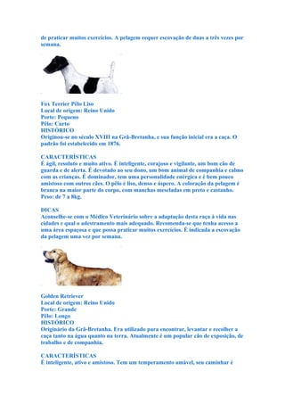 de praticar muitos exercícios. A pelagem requer escovação de duas a três vezes por
semana.




Fox Terrier Pêlo Liso
Local de origem: Reino Unido
Porte: Pequeno
Pêlo: Curto
HISTÓRICO
Originou-se no século XVIII na Grã-Bretanha, e sua função inicial era a caça. O
padrão foi estabelecido em 1876.

CARACTERÍSTICAS
É ágil, resoluto e muito ativo. É inteligente, corajoso e vigilante, um bom cão de
guarda e de alerta. É devotado ao seu dono, um bom animal de companhia e calmo
com as crianças. É dominador, tem uma personalidade enérgica e é bem pouco
amistoso com outros cães. O pêlo é liso, denso e áspero. A coloração da pelagem é
branca na maior parte do corpo, com manchas mescladas em preto e castanho.
Peso: de 7 a 8kg.

DICAS
Aconselhe-se com o Médico Veterinário sobre a adaptação desta raça à vida nas
cidades e qual o adestramento mais adequado. Recomenda-se que tenha acesso a
uma área espaçosa e que possa praticar muitos exercícios. É indicada a escovação
da pelagem uma vez por semana.




Golden Retriever
Local de origem: Reino Unido
Porte: Grande
Pêlo: Longo
HISTÓRICO
Originário da Grã-Bretanha. Era utilizado para encontrar, levantar e recolher a
caça tanto na água quanto na terra. Atualmente é um popular cão de exposição, de
trabalho e de companhia.

CARACTERÍSTICAS
É inteligente, ativo e amistoso. Tem um temperamento amável, seu caminhar é
 