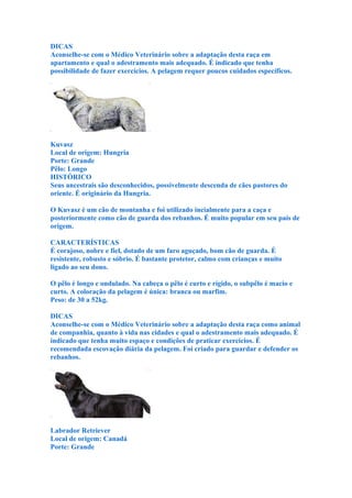DICAS
Aconselhe-se com o Médico Veterinário sobre a adaptação desta raça em
apartamento e qual o adestramento mais adequado. É indicado que tenha
possibilidade de fazer exercícios. A pelagem requer poucos cuidados específicos.




Kuvasz
Local de origem: Hungria
Porte: Grande
Pêlo: Longo
HISTÓRICO
Seus ancestrais são desconhecidos, possivelmente descenda de cães pastores do
oriente. É originário da Hungria.

O Kuvasz é um cão de montanha e foi utilizado incialmente para a caça e
posteriormente como cão de guarda dos rebanhos. É muito popular em seu país de
origem.

CARACTERÍSTICAS
É corajoso, nobre e fiel, dotado de um faro aguçado, bom cão de guarda. É
resistente, robusto e sóbrio. É bastante protetor, calmo com crianças e muito
ligado ao seu dono.

O pêlo é longo e ondulado. Na cabeça o pêlo é curto e rígido, o subpêlo é macio e
curto. A coloração da pelagem é única: branca ou marfim.
Peso: de 30 a 52kg.

DICAS
Aconselhe-se com o Médico Veterinário sobre a adaptação desta raça como animal
de companhia, quanto à vida nas cidades e qual o adestramento mais adequado. É
indicado que tenha muito espaço e condições de praticar exercícios. É
recomendada escovação diária da pelagem. Foi criado para guardar e defender os
rebanhos.




Labrador Retriever
Local de origem: Canadá
Porte: Grande
 