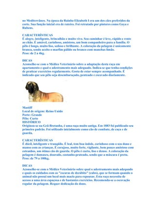 no Mediterrâneo. Na época da Rainha Elizabeth I era um dos cães preferidos da
corte. Sua função inicial era de rateiro. Foi retratado por pintores como Goya e
Rubens.

CARACTERÍSTICAS
É alegre, inteligente, brincalhão e muito vivo. Seu caminhar é leve, rápido e rente
ao chão. É amável, carinhoso, amistoso, um bom companheiro para a família. O
pêlo é longo, muito liso, sedoso e brilhante. A coloração da pelagem é unicamente
branca, sendo aceito o marfim pálido ou branco com manchas limão.
Peso: de 2 a 4kg.

DICAS
Aconselhe-se com o Médico Veterinário sobre a adaptação desta raça em
apartamento e qual o adestramento mais adequado. Indica-se que tenha condições
de praticar exercícios regularmente. Gosta de estar sempre acompanhado. É
indicado que seu pêlo seja desembaraçado, penteado e escovado diariamente.




Mastiff
Local de origem: Reino Unido
Porte: Grande
Pêlo: Curto
HISTÓRICO
Originou-se na Grã-Bretanha, é uma raça muito antiga. Em 1883 foi publicado seu
primeiro padrão. Foi utilizado inicialmente como cão de combate, de caça e de
guarda.

CARACTERÍSTICAS
É dócil, inteligente e tranqüilo. É leal, tem boa índole, carinhoso com o seu dono e
manso com as crianças. É corajoso, muito forte, vigilante, bem pouco amistoso com
estranhos, um ótimo cão de guarda. O pêlo é curto, liso e denso. A coloração da
pelagem é damasco, dourado, castanho-prateado, sendo que a máscara é preta.
Peso: de 79 a 100kg.

DICAS
Aconselhe-se com o Médico Veterinário sobre qual o adestramento mais adequado
e quais os cuidados com as "escaras de decúbito" (calos), que se formam quando o
animal não possui um local mais macio para repousar. Esta raça necessita de
acesso a uma área espaçosa e de bastantes exercícios. Recomenda-se a escovação
regular da pelagem. Requer dedicação do dono.
 