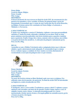 Pastor Belga
Local de origem: Bélgica
Porte: Grande
Pêlo: Longo
HISTÓRICO
O desenvolvimento da raça ocorreu no final do século XIX, do cruzamento de cães
pastores de tamanhos e cores variadas. O Pastor de pelagem longa e preta foi
denominado Groenendael, que é o nome de um Castelo que fica ao sul de Bruxelas,
na Bélgica. Existem outras três variedades de Pastor Belga: o Laekenois, o
Malinois e o Tervueren.

CARACTERÍSTICAS
É muito vivo, inteligente e sensível. É dinâmico, vigilante e tem uma personalidade
autêntica. É muito devotado, afeiçoado e obediente ao seu dono. Pode ser bem
pouco amistoso com desconhecidos, tem fortes instintos para a guarda e também
para o pastoreio. O pêlo é longo, liso e denso, somente curto na cabeça, nas orelhas
e na parte da frente dos membros. A coloração da pelagem é unicamente preta.
Peso: de 28 a 35kg.

DICAS
Aconselhe-se com o Médico Veterinário sobre a adaptação desta raça à vida nas
cidades e qual o adestramento mais adequado. É recomendável que se sintam
livres e tenham espaço e condições de fazer muitos exercícios diariamente. É
recomendada a escovação da pelagem uma vez por semana.




Pastor Shetland
Local de origem: Escócia
Porte: Pequeno
Pêlo: Longo
HISTÓRICO
No norte da Escócia existem as Ilhas Shetland, onde essa raça se originou. Era
utilizado como cão de guarda e de pastoreio. No final do século XIX foi introduzido
na Inglaterra, sendo reconhecido em 1914.

CARACTERÍSTICAS
É inteligente, ativo e extrovertido. É melindroso, manso e dócil. É vigilante e pouco
amistoso com estranhos, um bom cão de guarda. O pêlo é longo, áspero e reto. O
subpêlo é macio, curto e denso. A coloração da pelagem pode ser o preto
marmorizado, tricolor (preto, branco e ferrugem pálido ou castanho-escuro), preto
e branco ou preto e ferrugem.
Peso: de 5 a 10kg.
 