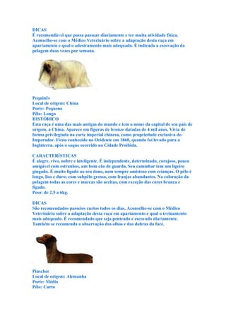 DICAS
É recomendável que possa passear diariamente e ter muita atividade física.
Aconselhe-se com o Médico Veterinário sobre a adaptação desta raça em
apartamento e qual o adestramento mais adequado. É indicada a escovação da
pelagem duas vezes por semana.




Pequinês
Local de origem: China
Porte: Pequeno
Pêlo: Longo
HISTÓRICO
Esta raça é uma das mais antigas do mundo e tem o nome da capital de seu país de
origem, a China. Aparece em figuras de bronze datadas de 4 mil anos. Vivia de
forma privilegiada na corte imperial chinesa, como propriedade exclusiva do
Imperador. Ficou conhecido no Ocidente em 1860, quando foi levado para a
Inglaterra, após o saque ocorrido na Cidade Proibida.

CARACTERÍSTICAS
É alegre, vivo, nobre e inteligente. É independente, determinado, corajoso, pouco
amigável com estranhos, um bom cão de guarda. Seu caminhar tem um ligeiro
gingado. É muito ligado ao seu dono, nem sempre amistoso com crianças. O pêlo é
longo, liso e duro; com subpêlo grosso, com franjas abundantes. Na coloração da
pelagem todas as cores e marcas são aceitas, com exceção das cores branca e
fígado.
Peso: de 2,5 a 6kg.

DICAS
São recomendados passeios curtos todos os dias. Aconselhe-se com o Médico
Veterinário sobre a adaptação desta raça em apartamento e qual o treinamento
mais adequado. É recomendado que seja penteado e escovado diariamente.
Também se recomenda a observação dos olhos e das dobras da face.




Pinscher
Local de origem: Alemanha
Porte: Médio
Pêlo: Curto
 