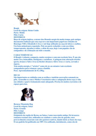 Beagle
Local de origem: Reino Unido
Porte: Médio
Pêlo: Curto
HISTÓRICO
Raça de origem inglesa, o menor dos Hounds surgiu há muito tempo, pois antigos
documentos indicam que esta raça teve um importante papel nos reinados de
Henrique VIII e Elizabeth I. Era e é até hoje utilizado na caça de lebres e coelhos.
Um bom animal para exposição. Pelo seu porte reduzido e com seu ótimo
temperamento, agradou a todos, e além da caça, hoje é um popular cão de
companhia e de estimação em todo o mundo.

CARACTERÍSTICAS
O Beagle é robusto, compacto, muito corajoso e com um excelente faro. É um cão
muito vivo, brincalhão, inteligente e carinhoso. A pelagem tem coloração tricolor
(preto, branco e fulvo vivo) ou bicolor (branco e fulvo vivo) e é curta, cerrada e
áspera.
Tem muita energia, é "arteiro" como ele só, no entanto é um excelente
companheiro para crianças e para a família.
Peso: Aproximadamente de 8 a 20kg.

DICAS
São importantes os cuidados com as orelhas e também escovações semanais no
pêlo. Aconselhe-se com o Médico Veterinário sobre a adaptação desta raça à vida
nas cidades e qual o treinamento mais adequado. Precisa de muitos exercícios e de
espaço para isso.




Bernese Mountain Dog
Local de origem: Suiça
Porte: Grande
Pêlo: Longo
HISTÓRICO
Originário da região de Berna, na Suíça, é uma raça muito antiga. Os invasores
romanos traziam cães, utilizados no combate e como cães de guarda; estes
provavelmente cruzaram com cães pastores nativos, dando início as bases da raça.
O seu padrão foi publicado em 1907. Era utilizado, inicialmente, como cão de
 