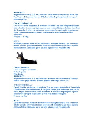 HISTÓRICO
Originou-se no século XIX, na Alemanha. Possivelmente descende do Black and
Tan Terrier. Foi reconhecido em 1879. Era utilizado principalmente na caça de
animais nocivos.

CARACTERÍSTICAS
É vivo, ativo e tem boa índole. É afetuoso, devotado e um bom companheiro para
toda a família. É corajoso, vigilante, tem uma personalidade autêntica e é um bom
cão de guarda. O pêlo é curto, denso e bem assentado. A coloração da pelagem é
preta, castanha com marcas pretas, castanha-escura ou cinza com marcas
vermelhas.
Peso: de 11 a 16kg.

DICAS
Aconselhe-se com o Médico Veterinário sobre a adaptação desta raça à vida nas
cidades e qual o adestramento mais adequado. Recomenda-se que tenha alguma
atividade física. É indicado que o seu pêlo seja escovado regularmente.




Pinscher Miniatura
Local de origem: Alemanha
Porte: Pequeno
Pêlo: Curto
HISTÓRICO
Originou-se no século XIX, na Alemanha. Descende do cruzamento do Pinscher
alemão com o galgo italiano. É muito popular na Europa e nos EUA.

CARACTERÍSTICAS
É cheio de vida, inteligente e brincalhão. Tem um temperamento forte, é devotado
à família e um bom companheiro. É corajoso, atento, bom ladrador e bom cão de
alerta. O pêlo é curto, denso e bem assentado. A coloração da pelagem é o preto
com marcas ferrugem ou castanho-escuro com marcas ferrugem.
Peso: de 2 a 4kg.

DICAS
Aconselhe-se com o Médico Veterinário sobre a adaptação desta raça à vida nas
cidades e qual o adestramento mais adequado. Recomenda-se que tenha alguma
atividade física. É indicado que o seu pêlo seja escovado regularmente.
 