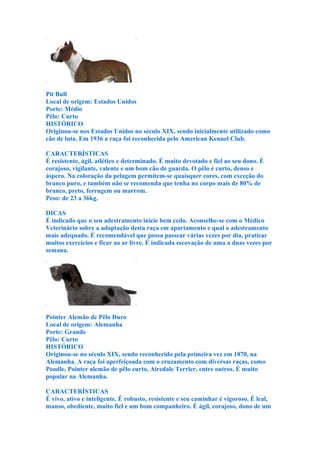 Pit Bull
Local de origem: Estados Unidos
Porte: Médio
Pêlo: Curto
HISTÓRICO
Originou-se nos Estados Unidos no século XIX, sendo inicialmente utilizado como
cão de luta. Em 1936 a raça foi reconhecida pelo American Kennel Club.

CARACTERÍSTICAS
É resistente, ágil, atlético e determinado. É muito devotado e fiel ao seu dono. É
corajoso, vigilante, valente e um bom cão de guarda. O pêlo é curto, denso e
áspero. Na coloração da pelagem permitem-se quaisquer cores, com exceção do
branco puro, e também não se recomenda que tenha no corpo mais de 80% de
branco, preto, ferrugem ou marrom.
Peso: de 23 a 36kg.

DICAS
É indicado que o seu adestramento inicie bem cedo. Aconselhe-se com o Médico
Veterinário sobre a adaptação desta raça em apartamento e qual o adestramento
mais adequado. É recomendável que possa passear várias vezes por dia, praticar
muitos exercícios e ficar ao ar livre. É indicada escovação de uma a duas vezes por
semana.




Pointer Alemão de Pêlo Duro
Local de origem: Alemanha
Porte: Grande
Pêlo: Curto
HISTÓRICO
Originou-se no século XIX, sendo reconhecido pela primeira vez em 1870, na
Alemanha. A raça foi aperfeiçoada com o cruzamento com diversas raças, como
Poodle, Pointer alemão de pêlo curto, Airedale Terrier, entre outros. É muito
popular na Alemanha.

CARACTERÍSTICAS
É vivo, ativo e inteligente. É robusto, resistente e seu caminhar é vigoroso. É leal,
manso, obediente, muito fiel e um bom companheiro. É ágil, corajoso, dono de um
 