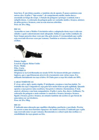 bom faro. É um ótimo caçador, e também cão de aponte. É pouco amistoso com
outros cães. O pêlo é "tipo arame", de comprimento médio, muito duro e
assentado ao longo do corpo. A função da pelagem é proteger o animal, tem o
subpêlo denso. A coloração da pelagem pode ser castanho médio e branco, mistura
de pêlos pretos e brancos, com ou sem marcas coloridas.
Peso: de 20 a 34kg.

DICAS
Aconselhe-se com o Médico Veterinário sobre a adaptação desta raça à vida nas
cidades e qual o adestramento mais adequado. Indica-se que tenha condições de
fazer longos passeios duas vezes por dia, pelo menos. É recomendado que o pêlo
seja escovado diversas vezes por semana. Também se orienta a observação das
orelhas.




Pointer Inglês
Local de origem: Reino Unido
Porte: Médio
Pêlo: Curto
HISTÓRICO
Originou-se na Grã-Bretanha no século XVII. Foi desenvolvido por criadores
ingleses, que o aperfeiçoaram através do cruzamento com várias raças. Era
utilizado inicialmente na caça à lebre. O Clube para a raça foi criado em 1891.

CARACTERÍSTICAS
É vivaz, ativo, ágil e muito rápido. É inteligente, corajoso e tem boa índole. No
trabalho da caça é inigualável, seja pelo faro muito bom ou pela agilidade. Quando
aponta a caça parece uma escultura. Seu porte é robusto e harmonioso. É leal,
amável, afetuoso e um bom companheiro. O pêlo é curto, liso, duro e brilhante. Na
coloração da pelagem o mais comum é o amarelo e branco, laranja e branco,
fígado e branco, preto e branco, no entanto também são aceitos os que forem de
uma única cor ou tricolores.
Peso: de 20 a 30kg.

DICAS
É indicada uma educação que equilibre disciplina, paciência e suavidade. Precisa
ter acesso a uma área bastante espaçosa e de muito exercício. É indicado que o pêlo
seja escovado uma vez por semana. Recomenda-se a observação das orelhas e a
sensibilidade da raça quanto ao frio.
 
