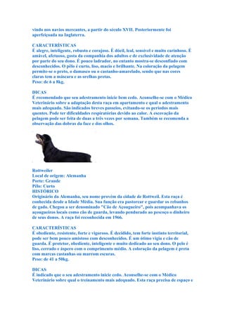 vindo nos navios mercantes, a partir do século XVII. Posteriormente foi
aperfeiçoada na Inglaterra.

CARACTERÍSTICAS
É alegre, inteligente, robusto e corajoso. É dócil, leal, sensível e muito carinhoso. É
amável, afetuoso, gosta da companhia dos adultos e de exclusividade de atenção
por parte do seu dono. É pouco ladrador, no entanto mostra-se desconfiado com
desconhecidos. O pêlo é curto, liso, macio e brilhante. Na coloração da pelagem
permite-se o preto, o damasco ou o castanho-amarelado, sendo que nas cores
claras tem a máscara e as orelhas pretas.
Peso: de 6 a 8kg.

DICAS
É recomendado que seu adestramento inicie bem cedo. Aconselhe-se com o Médico
Veterinário sobre a adaptação desta raça em apartamento e qual o adestramento
mais adequado. São indicados breves passeios, evitando-se os períodos mais
quentes. Pode ter dificuldades respiratórias devido ao calor. A escovação da
pelagem pode ser feita de duas a três vezes por semana. Também se recomenda a
observação das dobras da face e dos olhos.




Rottweiler
Local de origem: Alemanha
Porte: Grande
Pêlo: Curto
HISTÓRICO
Originário da Alemanha, seu nome provém da cidade de Rottweil. Esta raça é
conhecida desde a Idade Média. Sua função era pastorear e guardar os rebanhos
de gado. Chegou a ser denominado "Cão de Açougueiro", pois acompanhava os
açougueiros locais como cão de guarda, levando pendurado ao pescoço o dinheiro
de seus donos. A raça foi reconhecida em 1966.

CARACTERÍSTICAS
É obediente, resistente, forte e vigoroso. É decidido, tem forte instinto territorial,
pode ser bem pouco amistoso com desconhecidos. É um ótimo vigia e cão de
guarda. É protetor, obediente, inteligente e muito dedicado ao seu dono. O pelo é
liso, cerrado e áspero com o comprimento médio. A coloração da pelagem é preta
com marcas castanhas ou marrom escuras.
Peso: de 41 a 50kg.

DICAS
É indicado que o seu adestramento inicie cedo. Aconselhe-se com o Médico
Veterinário sobre qual o treinamento mais adequado. Esta raça precisa de espaço e
 