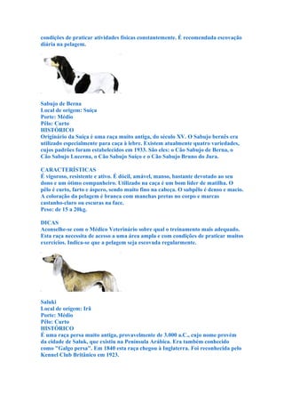 condições de praticar atividades físicas constantemente. É recomendada escovação
diária na pelagem.




Sabujo de Berna
Local de origem: Suiça
Porte: Médio
Pêlo: Curto
HISTÓRICO
Originário da Suíça é uma raça muito antiga, do século XV. O Sabujo bernês era
utilizado especialmente para caça à lebre. Existem atualmente quatro variedades,
cujos padrões foram estabelecidos em 1933. São eles: o Cão Sabujo de Berna, o
Cão Sabujo Lucerna, o Cão Sabujo Suíço e o Cão Sabujo Bruno do Jura.

CARACTERÍSTICAS
É vigoroso, resistente e ativo. É dócil, amável, manso, bastante devotado ao seu
dono e um ótimo companheiro. Utilizado na caça é um bom líder de matilha. O
pêlo é curto, farto e áspero, sendo muito fino na cabeça. O subpêlo é denso e macio.
A coloração da pelagem é branca com manchas pretas no corpo e marcas
castanho-claro ou escuras na face.
Peso: de 15 a 20kg.

DICAS
Aconselhe-se com o Médico Veterinário sobre qual o treinamento mais adequado.
Esta raça necessita de acesso a uma área ampla e com condições de praticar muitos
exercícios. Indica-se que a pelagem seja escovada regularmente.




Saluki
Local de origem: Irã
Porte: Médio
Pêlo: Curto
HISTÓRICO
É uma raça persa muito antiga, provavelmente de 3.000 a.C., cujo nome provém
da cidade de Saluk, que existiu na Península Arábica. Era também conhecido
como "Galgo persa". Em 1840 esta raça chegou à Inglaterra. Foi reconhecida pelo
Kennel Club Britânico em 1923.
 