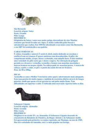 São Bernardo
Local de origem: Suiça
Porte: Grande
Pêlo: Longo
HISTÓRICO
Originária da Suíça, é uma raça muito antiga, descendente de cães Mastins
romanos que foram levados aos Alpes. É muito conhecida pelas buscas e
salvamentos que realiza. Em 1850 foi oficializado o seu nome como São Bernardo,
e em 1887 foi estabelecido o seu padrão.

CARACTERÍSTICAS
É calmo, tranqüilo e amável. É sociável, dócil, muito dedicado ao seu dono e
confiável com as crianças. É pouco amistoso com desconhecidos. O pêlo é de
comprimento médio, crespo, denso e achatado, com subpêlo farto. Existe também
uma variedade de pêlo curto que é denso e áspero. Na coloração da pelagem
permite-se o branco e vermelho, vermelho e branco com manchas mescladas e
marcas brancas ou mogno rajado. Na cabeça pode ter manchas pretas. A marca da
cabeça, o peito, o colar, os pés e a ponta da cauda devem ser brancos.
Peso: de 50 a 100kg.

DICAS
Aconselhe-se com o Médico Veterinário sobre qual o adestramento mais adequado.
Esta raça precisa de muito espaço e também de exercícios diários através de longos
passeios, sendo que quem o levar precisa ter um pulso muito firme. Tem
dificuldades em suportar o calor. É indicada uma escovação vigorosa todos os dias.




Schnauzer Gigante
Local de origem: Alemanha
Porte: Grande
Pêlo: Curto
HISTÓRICO
Originou-se no século XV, na Alemanha. O Schnauzer Gigante descende do
cruzamento do Boiadeiro de Flandres, do Dogue Alemão e do Schnauzer médio.
Foi apresentado pela primeira vez numa exposição, em Munique, no ano de 1909.
Das três variedades de tamanho, este é o mais popular na Europa.
 