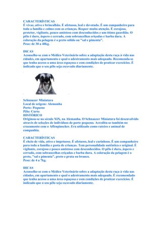 CARACTERÍSTICAS
É vivaz, ativo e brincalhão. É afetuoso, leal e devotado. É um companheiro para
toda a família e calmo com as crianças. Requer muita atenção. É corajoso,
protetor, vigilante, pouco amistoso com desconhecidos e um ótimo guardião. O
pêlo é duro, áspero e cerrado, com sobrancelhas eriçadas e barba dura. A
coloração da pelagem é o preto sólido ou "sal e pimenta".
Peso: de 30 a 40kg.

DICAS
Aconselhe-se com o Médico Veterinário sobre a adaptação desta raça à vida nas
cidades, em apartamento e qual o adestramento mais adequado. Recomenda-se
que tenha acesso a uma área espaçosa e com condições de praticar exercícios. É
indicado que o seu pêlo seja escovado diariamente.




Schnauzer Miniatura
Local de origem: Alemanha
Porte: Pequeno
Pêlo: Curto
HISTÓRICO
Originou-se no século XIX, na Alemanha. O Schnauzer Miniatura foi desenvolvido
através de seleções de indivíduos de porte pequeno. Acredita-se também no
cruzamento com o Affenpinscher. Era utilizado como rateiro e animal de
companhia.

CARACTERÍSTICAS
É cheio de vida, ativo e impetuoso. É afetuoso, leal e carinhoso. É um companheiro
para toda a família e gosta de crianças. Tem personalidade autêntica e original. É
vigilante, corajoso e pouco amistoso com desconhecidos. O pêlo é duro, áspero e
cerrado, com sobrancelhas eriçadas e barba dura. A coloração da pelagem é o
preto, "sal e pimenta", preto e prata ou branco.
Peso: de 4 a 7kg.

DICAS
Aconselhe-se com o Médico Veterinário sobre a adaptação desta raça à vida nas
cidades, em apartamento e qual o adestramento mais adequado. É recomendado
que tenha acesso a uma área espaçosa e com condições de praticar exercícios. É
indicado que o seu pêlo seja escovado diariamente.
 