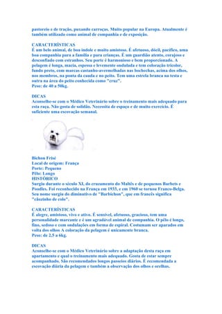 pastoreio e de tração, puxando carroças. Muito popular na Europa. Atualmente é
também utilizado como animal de companhia e de exposição.

CARACTERÍSTICAS
É um belo animal, de boa índole e muito amistoso. É afetuoso, dócil, pacífico, uma
boa companhia para a família e para crianças. É um guardião atento, corajoso e
desconfiado com estranhos. Seu porte é harmonioso e bem proporcionado. A
pelagem é longa, macia, espessa e levemente ondulada e tem coloração tricolor,
fundo preto, com marcas castanho-avermelhadas nas bochechas, acima dos olhos,
nos membros, na ponta da cauda e no peito. Tem uma estrela branca na testa e
outra na área do peito conhecida como "cruz".
Peso: de 40 a 50kg.

DICAS
Aconselhe-se com o Médico Veterinário sobre o treinamento mais adequado para
esta raça. Não gosta de solidão. Necessita de espaço e de muito exercício. É
suficiente uma escovação semanal.




Bichon Frisé
Local de origem: França
Porte: Pequeno
Pêlo: Longo
HISTÓRICO
Surgiu durante o século XI, do cruzamento do Maltês e de pequenos Barbets e
Poodles. Foi reconhecido na França em 1933, e em 1960 se tornou Franco-Belga.
Seu nome surgiu do diminutivo de "Barbichon", que em francês significa
"cãozinho de colo".

CARACTERÍSTICAS
É alegre, amistoso, vivo e ativo. É sensível, afetuoso, gracioso, tem uma
personalidade marcante e é um agradável animal de companhia. O pêlo é longo,
fino, sedoso e com ondulações em forma de espiral. Costumam ser aparados em
volta dos olhos A coloração da pelagem é unicamente branca.
Peso: de 2,5 a 6kg.

DICAS
Aconselhe-se com o Médico Veterinário sobre a adaptação desta raça em
apartamento e qual o treinamento mais adequado. Gosta de estar sempre
acompanhado. São recomendados longos passeios diários. É recomendada a
escovação diária da pelagem e também a observação dos olhos e orelhas.
 