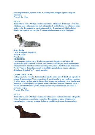 com subpêlo macio, denso e curto. A coloração da pelagem é preta, trigo ou
mesclado.
Peso: de 8 a 11kg.

DICAS
Aconselhe-se com o Médico Veterinário sobre a adaptação desta raça à vida nas
cidades e qual o adestramento mais adequado. É indicada que sua educação inicie
muito cedo. Recomenda-se que tenha condições de praticar atividades físicas
diárias para gastar sua energia. É recomendada uma escovação freqüente.




Setter Inglês
Local de origem: Inglaterra
Porte: Grande
Pêlo: Longo
HISTÓRICO
Uma das mais antigas raças de cães de aponte da Inglaterra. O Setter foi
aprimorado pelo criador Laverack, que fez esse trabalho por aproximadamente
cinqüenta anos. Em 1873 foi reconhecido pelo Kennel Club Britânico. Seu nome
"Setter" deriva do modo como ele se imobiliza para indicar a caça, seja semi-
deitado ou deitado ("set" = rente ao solo).

CARACTERÍSTICAS
É elegante, leal e robusto. Tem uma boa índole, muito afável, dócil, um agradável
animal de companhia. Vivo, veloz, dono de um ótimo faro, um excelente caçador.
O pêlo é longo e sedoso abaixo das orelhas, levemente ondulado e tem franjas nos
membros. A coloração da pelagem é laranja e branco,marrom e branco, preto e
branco ou então tricolor (preto, branco e marrom) com manchas em todas as
partes do corpo.
Peso: de 25 a 32kg.

DICAS
Aconselhe-se com o Médico Veterinário sobre qual o treinamento mais adequado.
Gosta de espaço e necessita de exercícios. Recomenda-se que a pelagem seja
escovada duas vezes por semana. Indica-se também a observação das orelhas.
 