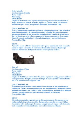 Setter Irlandês
Local de origem: Irlanda
Porte: Médio
Pêlo: Longo
HISTÓRICO
Originário da Irlanda, esta raça desenvolveu-se a partir do cruzamento do Cão
dágua Irlandês, do Pointer, do Setter Inglês e do Gordon Setter. Era utilizado
inicialmente para a caça. Seu primeiro padrão foi publicado em 1885.

CARACTERÍSTICAS
É vivaz, independente, muito ativo, sensível, afetuoso e amigável. É um agradável
animal de companhia e de estimação para toda a família. Seu porte é elegante e
harmonioso. Dotado de um faro muito aguçado e ótimo caçador. O pêlo é longo,
liso e brilhante, curto na cabeça e na parte da frente dos membros. Tem muitas
franjas levemente onduladas. A coloração da pelagem é o vermelho intenso.
Peso: de 20 a 27kg.

DICAS
Aconselhe-se com o Médico Veterinário sobre qual o treinamento mais adequado.
Gosta de espaço e necessita de exercícios. Recomenda-se que a pelagem seja
escovada diariamente. Indica-se também a observação das orelhas.




Shar pei
Local de origem: China
Porte: Médio
Pêlo: Curto
HISTÓRICO
Originário da China, o exótico Shar Pei, é uma raça muito antiga, que era utilizada
como guardiã dos Templos, como cão de briga, de caça e guarda. Foi introduzida
nos EUA em 1970 e na Europa em 1980.

CARACTERÍSTICAS
É amistoso, dócil e afetuoso com a família e com crianças. É um bom animal de
companhia. É alerta, ativo e independente. Seu temperamento é dominador, pouco
amistoso com outros cães. O pêlo é curto, rígido e eriçado. A coloração da pelagem
é sempre unicamente creme, preta, marrom, castanha ou ferrugem.
Peso: de 16 a 20kg.

DICAS
São indicados cuidados especiais com as dobras de sua pele. Recomenda-se que
tenha condição de praticar exercícios diariamente. Aconselhe-se com o Médico
Veterinário sobre a adaptação dessa raça em apartamento e qual o adestramento
mais adequado. É recomendada uma escovação semanal da pelagem.
 