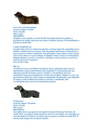 Terra Nova (Newfoundland)
Local de origem: Canadá
Porte: Grande
Pêlo: Longo
HISTÓRICO
Originou-se no Canadá, no século XVIII. Sua função inicial era auxiliar os
pescadores da região a puxarem suas redes e também carroças. Foi introduzido na
Europa no século XIX.

CARACTERÍSTICAS
É gentil, dócil e terno. É muito leal, paciente, um bom animal de companhia para a
família e confiável com as crianças. Tem um grande instinto para salvamentos na
água, seu porte é nobre e imponente. Seu pêlo duplo é longo, áspero, denso, possui
uma textura oleosa e é à prova dágua. O subpêlo é denso e macio. Na coloração da
pelagem admite-se o preto, o marrom, o chocolate, o cinza ou branco e preto (no
caso do Terra Nova Landseer).
Peso: de 50 a 70kg.

DICAS
Aconselhe-se com o seu Médico Veterinário sobre a adaptação desta raça em
apartamento e qual o adestramento mais adequado. É recomendada que sua
educação seja feita de forma estável e resoluta e com paciência, pois sua
maturidade chega aproximadamente aos dois anos de idade. Adapta-se a viver em
apartamento, desde que esteja sempre acompanhado. Recomenda-se que disponha
de espaço e tenha condições de praticar exercícios e caminhadas. São
recomendadas duas escovações semanais da pelagem.




Weimaraner
Local de origem: Alemanha
Porte: Grande
Pêlo: Curto
HISTÓRICO
Um similar desta raça aparece num quadro do pintor flamengo Van Dyck, do
século XVII, no entanto existem incertezas sob sua exata origem. Na Alemanha, na
corte do Duque de Weimar, foi criado como raça pura, no início do século XIX. É
um dos mais antigos cães de aponte alemães.
 
