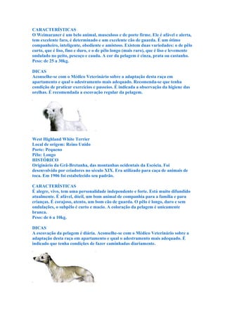 CARACTERÍSTICAS
O Weimaraner é um belo animal, musculoso e de porte firme. Ele é afável e alerta,
tem excelente faro, é determinado e um excelente cão de guarda. É um ótimo
companheiro, inteligente, obediente e amistoso. Existem duas variedades: o de pêlo
curto, que é liso, fino e duro, e o de pêlo longo (mais raro), que é liso e levemente
ondulado no peito, pescoço e cauda. A cor da pelagem é cinza, prata ou castanho.
Peso: de 25 a 30kg.

DICAS
Aconselhe-se com o Médico Veterinário sobre a adaptação desta raça em
apartamento e qual o adestramento mais adequado. Recomenda-se que tenha
condição de praticar exercícios e passeios. É indicada a observação da higiene das
orelhas. É recomendada a escovação regular da pelagem.




West Highland White Terrier
Local de origem: Reino Unido
Porte: Pequeno
Pêlo: Longo
HISTÓRICO
Originário da Grã-Bretanha, das montanhas ocidentais da Escócia. Foi
desenvolvido por criadores no século XIX. Era utilizado para caça de animais de
toca. Em 1906 foi estabelecido seu padrão.

CARACTERÍSTICAS
É alegre, vivo, tem uma personalidade independente e forte. Está muito difundido
atualmente. É afável, dócil, um bom animal de companhia para a família e para
crianças. É corajoso, atento, um bom cão de guarda. O pêlo é longo, duro e sem
ondulações, o subpêlo é curto e macio. A coloração da pelagem é unicamente
branca.
Peso: de 6 a 10kg.

DICAS
A escovação da pelagem é diária. Aconselhe-se com o Médico Veterinário sobre a
adaptação desta raça em apartamento e qual o adestramento mais adequado. É
indicado que tenha condições de fazer caminhadas diariamente.
 