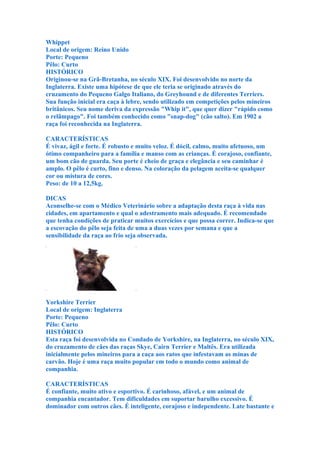 Whippet
Local de origem: Reino Unido
Porte: Pequeno
Pêlo: Curto
HISTÓRICO
Originou-se na Grã-Bretanha, no século XIX. Foi desenvolvido no norte da
Inglaterra. Existe uma hipótese de que ele teria se originado através do
cruzamento do Pequeno Galgo Italiano, do Greyhound e de diferentes Terriers.
Sua função inicial era caça à lebre, sendo utilizado em competições pelos mineiros
britânicos. Seu nome deriva da expressão "Whip it", que quer dizer "rápido como
o relâmpago". Foi também conhecido como "snap-dog" (cão salto). Em 1902 a
raça foi reconhecida na Inglaterra.

CARACTERÍSTICAS
É vivaz, ágil e forte. É robusto e muito veloz. É dócil, calmo, muito afetuoso, um
ótimo companheiro para a família e manso com as crianças. É corajoso, confiante,
um bom cão de guarda. Seu porte é cheio de graça e elegância e seu caminhar é
amplo. O pêlo é curto, fino e denso. Na coloração da pelagem aceita-se qualquer
cor ou mistura de cores.
Peso: de 10 a 12,5kg.

DICAS
Aconselhe-se com o Médico Veterinário sobre a adaptação desta raça à vida nas
cidades, em apartamento e qual o adestramento mais adequado. É recomendado
que tenha condições de praticar muitos exercícios e que possa correr. Indica-se que
a escovação do pêlo seja feita de uma a duas vezes por semana e que a
sensibilidade da raça ao frio seja observada.




Yorkshire Terrier
Local de origem: Inglaterra
Porte: Pequeno
Pêlo: Curto
HISTÓRICO
Esta raça foi desenvolvida no Condado de Yorkshire, na Inglaterra, no século XIX,
do cruzamento de cães das raças Skye, Cairn Terrier e Maltês. Era utilizada
inicialmente pelos mineiros para a caça aos ratos que infestavam as minas de
carvão. Hoje é uma raça muito popular em todo o mundo como animal de
companhia.

CARACTERÍSTICAS
É confiante, muito ativo e esportivo. É carinhoso, afável, e um animal de
companhia encantador. Tem dificuldades em suportar barulho excessivo. É
dominador com outros cães. É inteligente, corajoso e independente. Late bastante e
 
